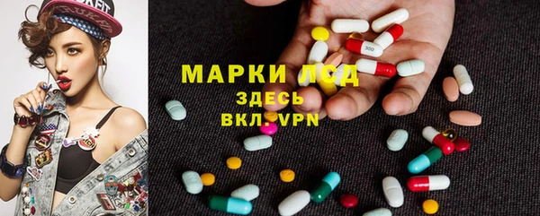 мяу мяу мука Снежинск