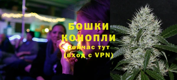 стафф Снежногорск