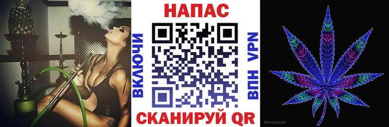 shop какой сайт  Зеленоградск  Бошки Шишки Ganja  что такое наркотик 